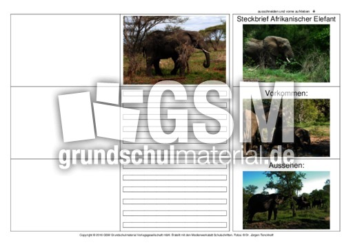 Flip-Flap-Afrikanischer-Elefant-1.pdf